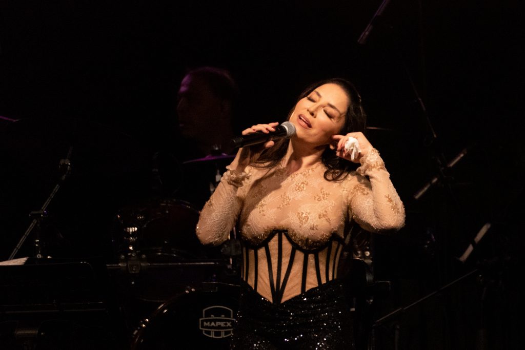 Aşkın Nur Yengi orta çağ esintili kıyafetiyle büyüledi